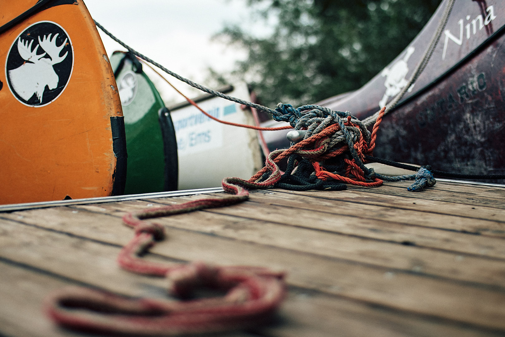 Geburtstag Tante Leni